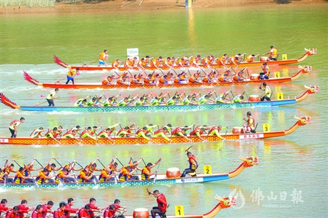 順德體育設(shè)施 順德體育設(shè)施