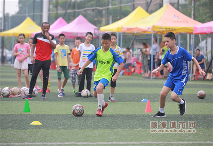 順德體育設(shè)施