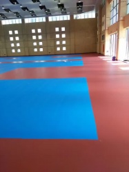 深圳龍崗室內硅PU球場_室內地面工程案例_廣東