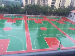 深圳龍崗南芳學(xué)校 硅PU球場(chǎng)_其他案例_廣東