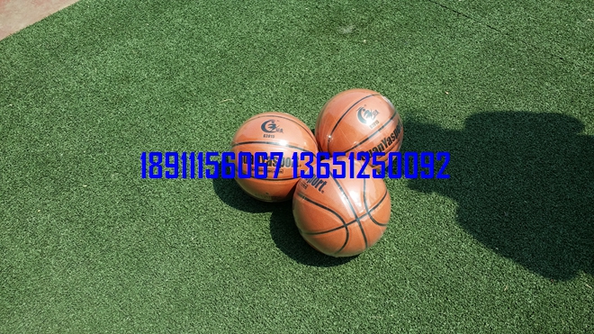 籃球，小籃球，少年籃球