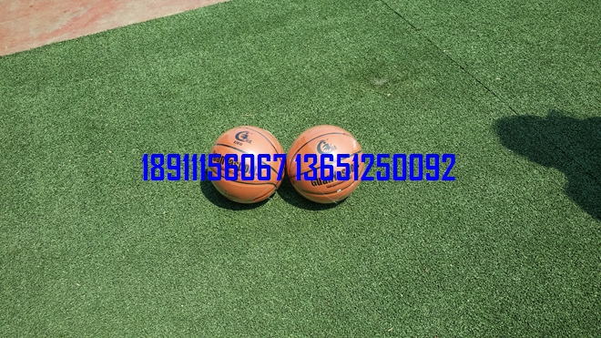 籃球，小籃球，少年籃球