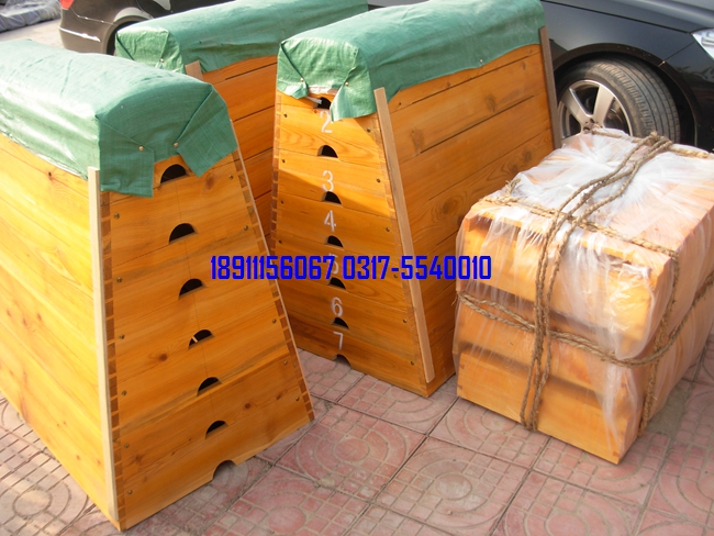 五節(jié)、七節(jié)跳箱