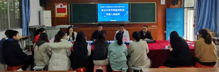 專家解惑，校本研修