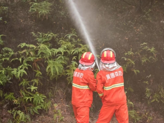 及時(shí)防控山林火災(zāi)“險(xiǎn)情”，黃圃鎮(zhèn)開展森林火災(zāi)應(yīng)急處置演練