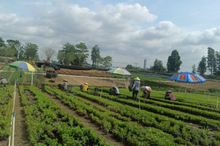 這項數(shù)據(jù)，橫欄排名全市第一！