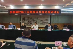 借鑒經(jīng)驗(yàn)、干在實(shí)處！中山沙溪全力推動村鎮(zhèn)工業(yè)園改造