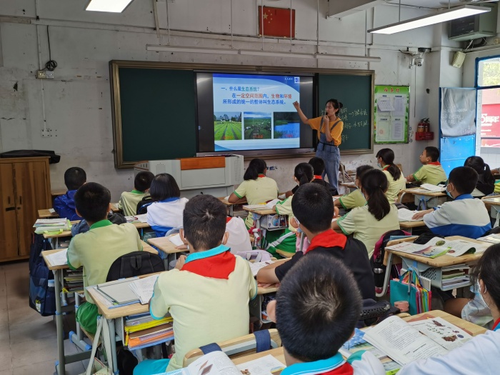 努力造高效課堂，積極謀劃促“雙減”