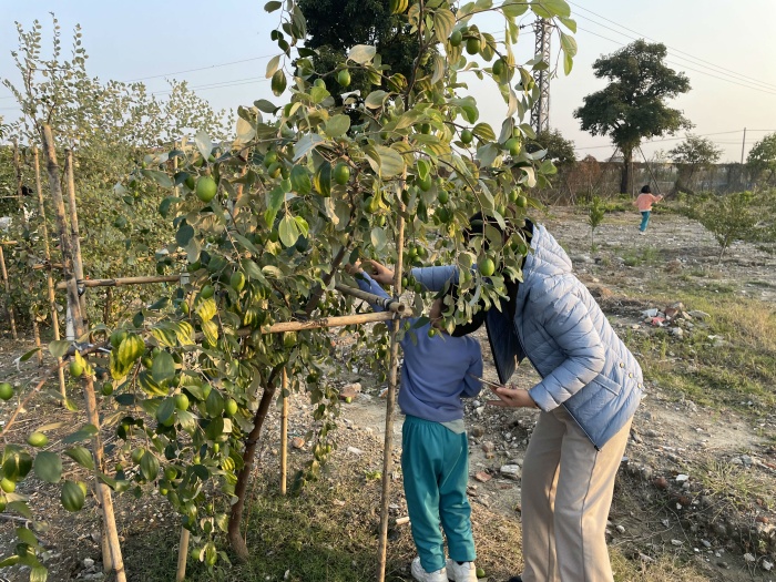 體驗勞動之美，品味豐收之樂