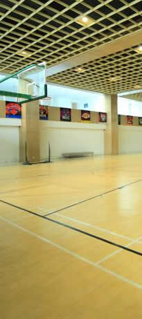 體育運(yùn)動地板