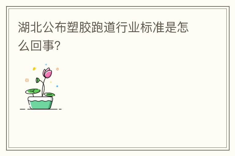 湖北公布塑膠跑道行業(yè)標(biāo)準(zhǔn)是怎么回事？