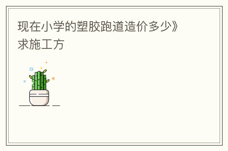 現(xiàn)在小學(xué)的塑膠跑道造價(jià)多少》求施工方