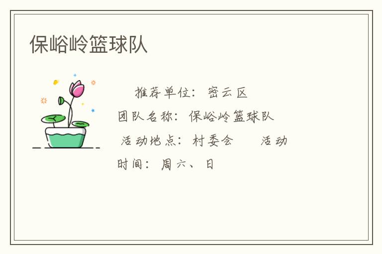 保峪嶺籃球隊