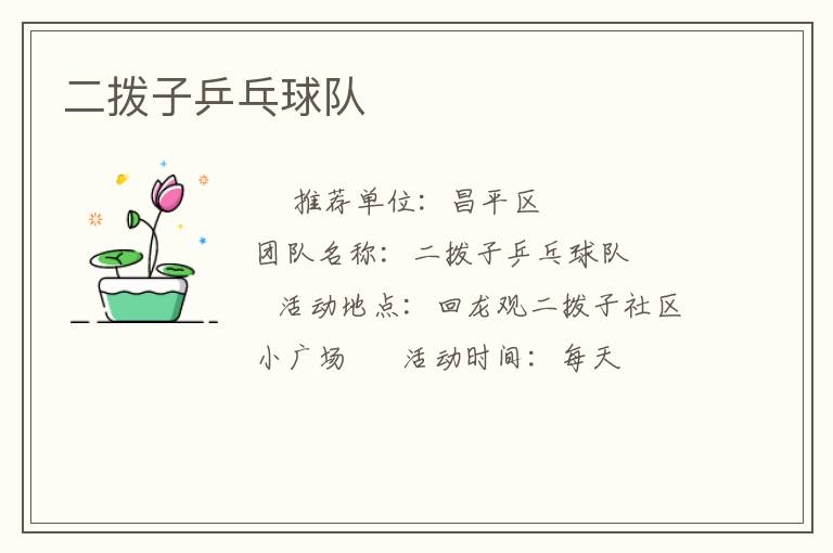 二撥子乒乓球隊(duì)