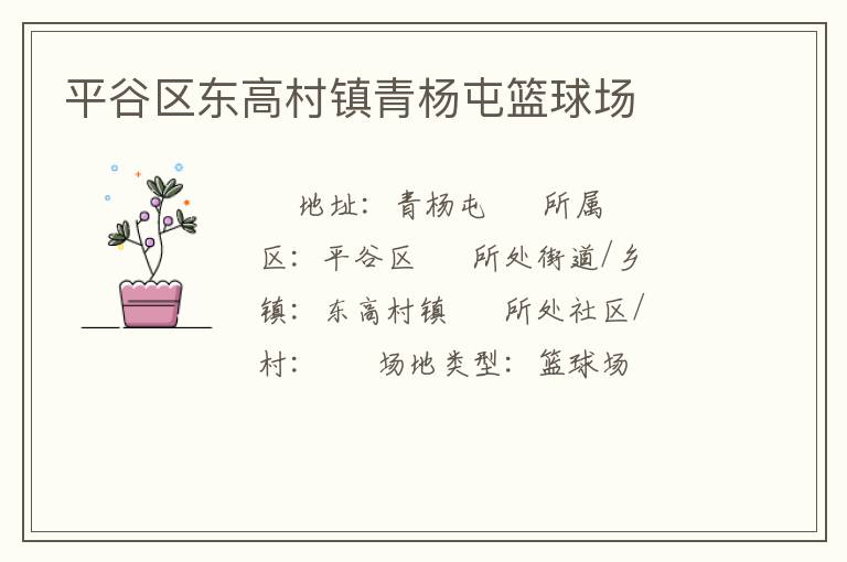 平谷區(qū)東高村鎮(zhèn)青楊屯籃球場