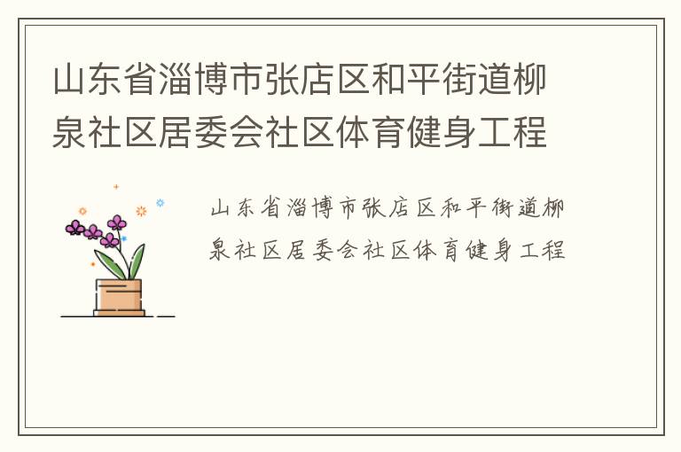 山東省淄博市張店區(qū)和平街道柳泉社區(qū)居委會社區(qū)體育健身工程