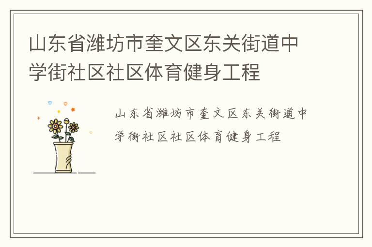 山東省濰坊市奎文區(qū)東關(guān)街道中學街社區(qū)社區(qū)體育健身工程