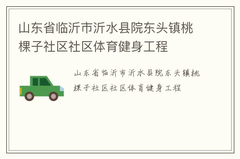 山東省臨沂市沂水縣院東頭鎮(zhèn)桃棵子社區(qū)社區(qū)體育健身工程