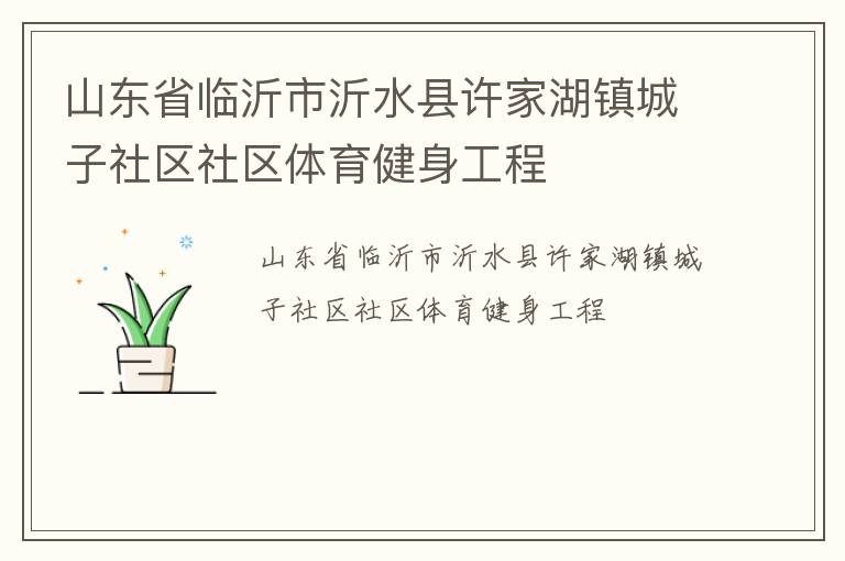 山東省臨沂市沂水縣許家湖鎮(zhèn)城子社區(qū)社區(qū)體育健身工程