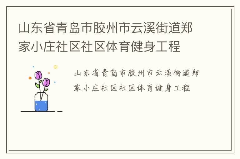 山東省青島市膠州市云溪街道鄭家小莊社區(qū)社區(qū)體育健身工程