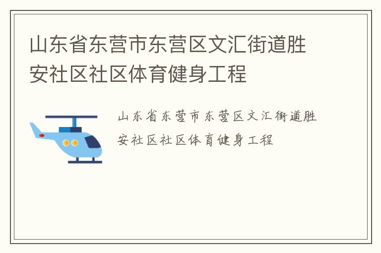 山東省東營市東營區(qū)文匯街道勝安社區(qū)社區(qū)體育健身工程
