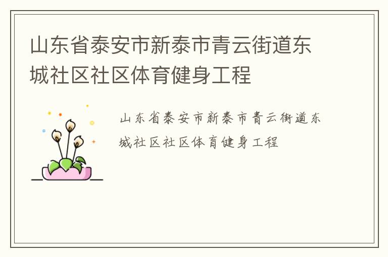 山東省泰安市新泰市青云街道東城社區(qū)社區(qū)體育健身工程