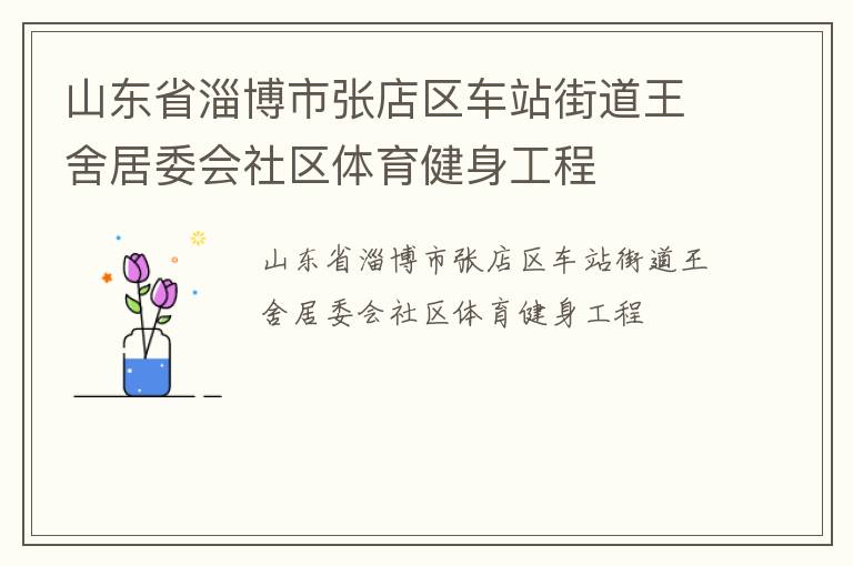 山東省淄博市張店區(qū)車(chē)站街道王舍居委會(huì)社區(qū)體育健身工程