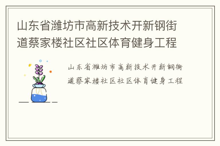 山東省濰坊市高新技術(shù)開新鋼街道蔡家樓社區(qū)社區(qū)體育健身工程