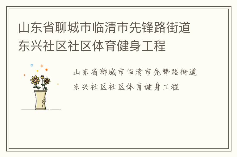 山東省聊城市臨清市先鋒路街道東興社區(qū)社區(qū)體育健身工程