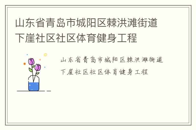 山東省青島市城陽區(qū)棘洪灘街道下崖社區(qū)社區(qū)體育健身工程