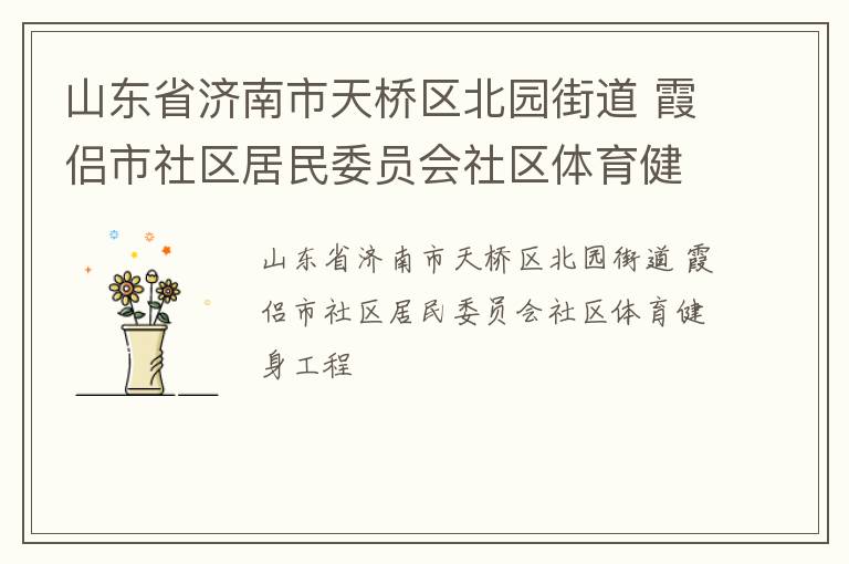 山東省濟南市天橋區(qū)北園街道 霞侶市社區(qū)居民委員會社區(qū)體育健身工程