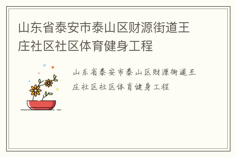 山東省泰安市泰山區(qū)財源街道王莊社區(qū)社區(qū)體育健身工程