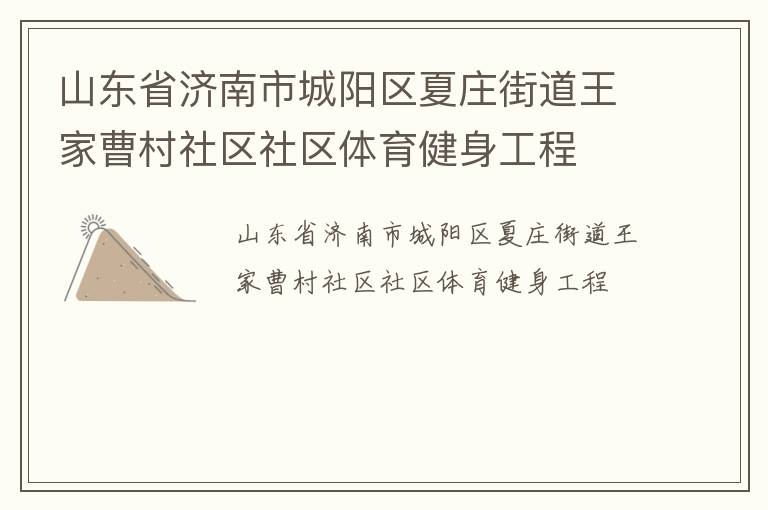 山東省濟南市城陽區(qū)夏莊街道王家曹村社區(qū)社區(qū)體育健身工程