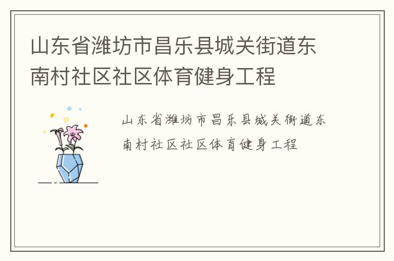 山東省濰坊市昌樂縣城關(guān)街道東南村社區(qū)社區(qū)體育健身工程