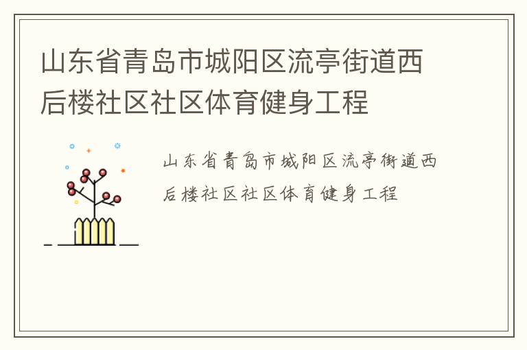 山東省青島市城陽(yáng)區(qū)流亭街道西后樓社區(qū)社區(qū)體育健身工程