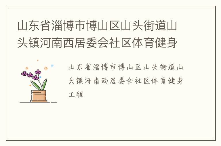 山東省淄博市博山區(qū)山頭街道山頭鎮(zhèn)河南西居委會社區(qū)體育健身工程