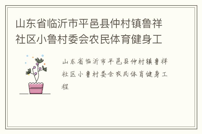 山東省臨沂市平邑縣仲村鎮(zhèn)魯祥社區(qū)小魯村委會農(nóng)民體育健身工程