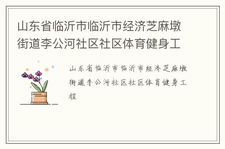 山東省臨沂市臨沂市經(jīng)濟芝麻墩街道李公河社區(qū)社區(qū)體育健身工程