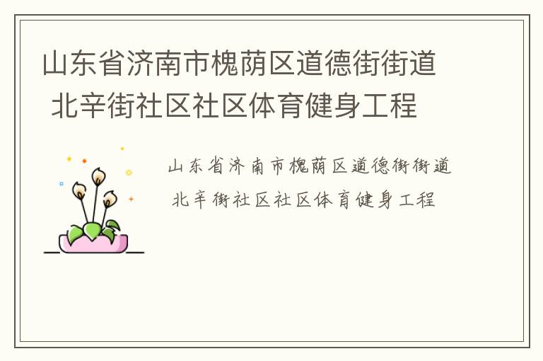 山東省濟(jì)南市槐蔭區(qū)道德街街道 北辛街社區(qū)社區(qū)體育健身工程