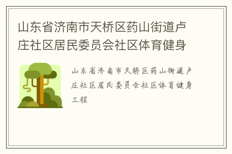 山東省濟南市天橋區(qū)藥山街道盧莊社區(qū)居民委員會社區(qū)體育健身工程
