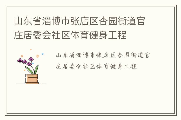 山東省淄博市張店區(qū)杏園街道官莊居委會社區(qū)體育健身工程