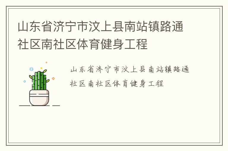 山東省濟(jì)寧市汶上縣南站鎮(zhèn)路通社區(qū)南社區(qū)體育健身工程