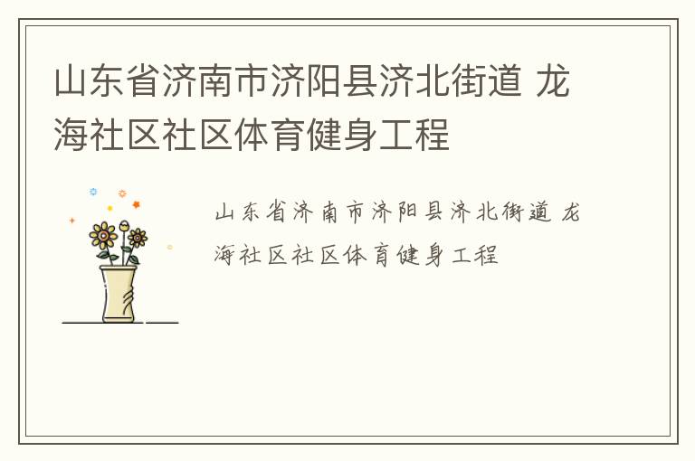 山東省濟南市濟陽縣濟北街道 龍海社區(qū)社區(qū)體育健身工程