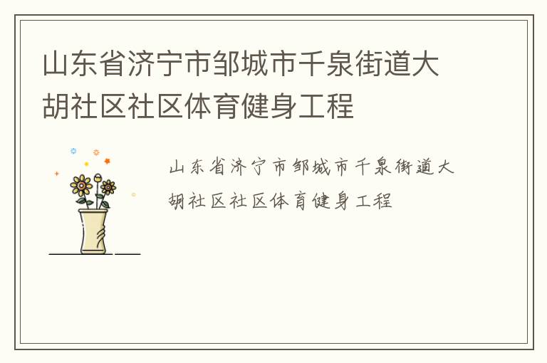 山東省濟寧市鄒城市千泉街道大胡社區(qū)社區(qū)體育健身工程