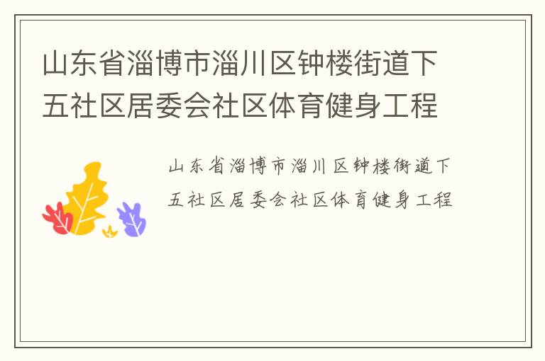 山東省淄博市淄川區(qū)鐘樓街道下五社區(qū)居委會社區(qū)體育健身工程