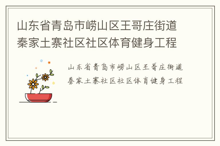 山東省青島市嶗山區(qū)王哥莊街道秦家土寨社區(qū)社區(qū)體育健身工程