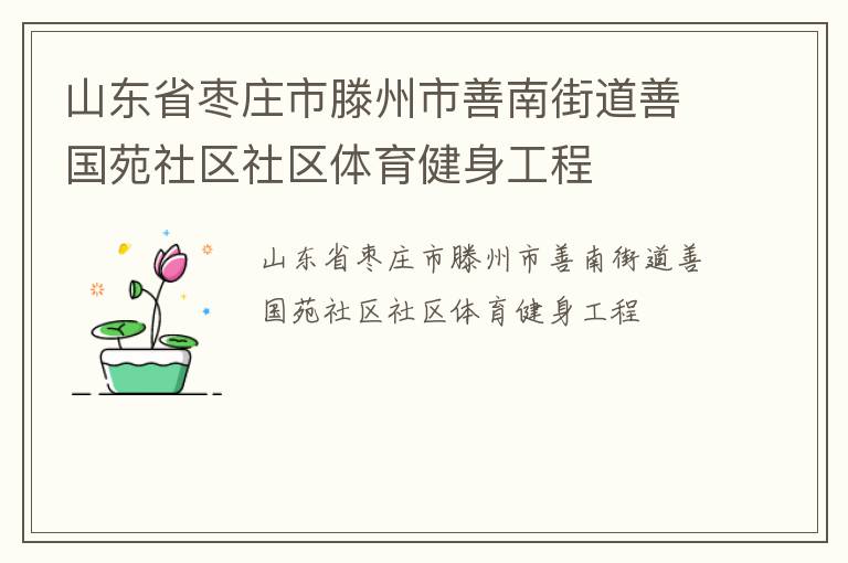 山東省棗莊市滕州市善南街道善國(guó)苑社區(qū)社區(qū)體育健身工程
