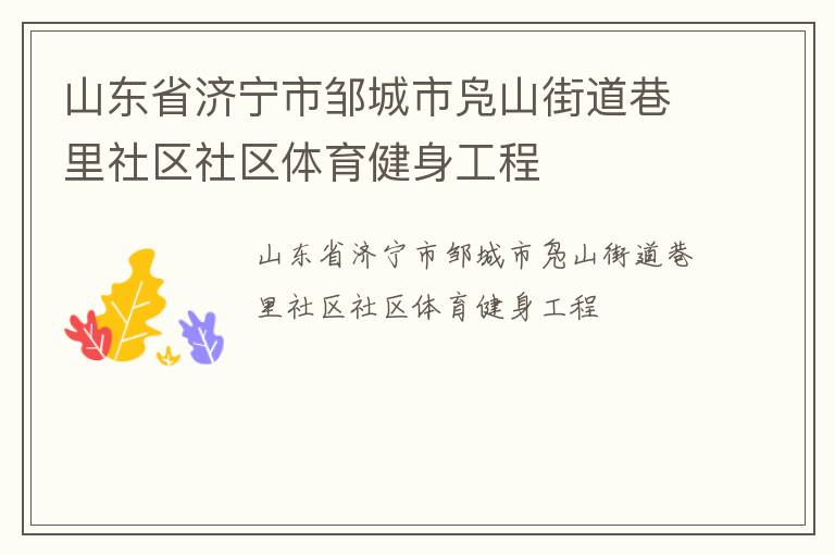 山東省濟寧市鄒城市鳧山街道巷里社區(qū)社區(qū)體育健身工程