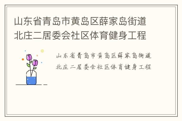 山東省青島市黃島區(qū)薛家島街道北莊二居委會社區(qū)體育健身工程
