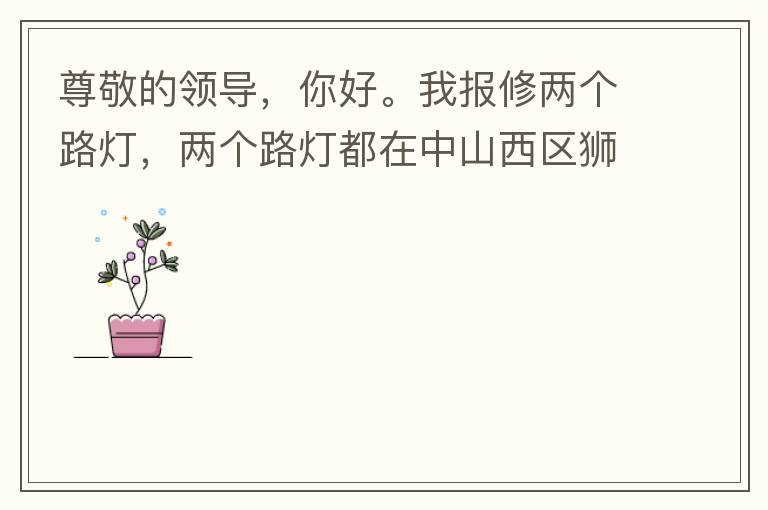 尊敬的領(lǐng)導(dǎo)，你好。我報(bào)修兩個(gè)路燈，兩個(gè)路燈都在中山西區(qū)獅滘口大橋。1.富華往濱江一號(hào)，下橋倒數(shù)第二支路燈已經(jīng)損壞。 2.濱江一號(hào)往富華方向，下橋最后一支路燈已經(jīng)損壞。麻煩及時(shí)修復(fù)，減少意外的發(fā)生。謝謝